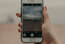 Building Trust and Credibility in the Digital Landscape (2023)