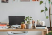 From Startup to Scaleup: Growing Your Business Successfully 2023