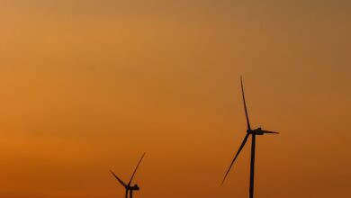 IoT and Energy Management: Optimizing Resource Efficiency 2023