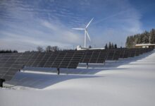 Sustainable Business Practices: Balancing Profitable and Environmental Responsibility 2023