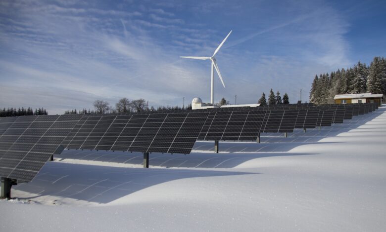 Sustainable Business Practices: Balancing Profitable and Environmental Responsibility 2023