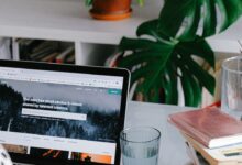 The Future of E-Commerce and Online Business 2023