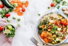 The Impact of Nutrition on Brain Health and Cognitive Function 2023