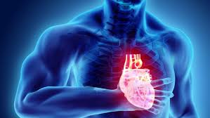 What Is Heart Disease?Symptoms, Causes, Diagnosis, Treatment