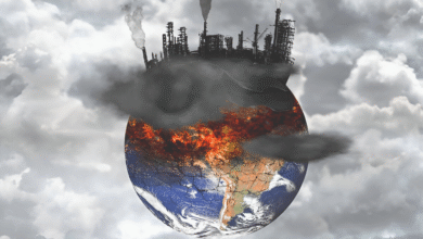 Earth Stopped